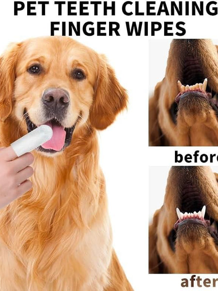 Disposable Dental Finger Wipes For Pets