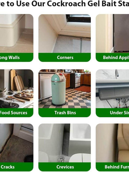 Cockroach Killer Gel | 🔥FLAT 50% OFF SAVING🔥