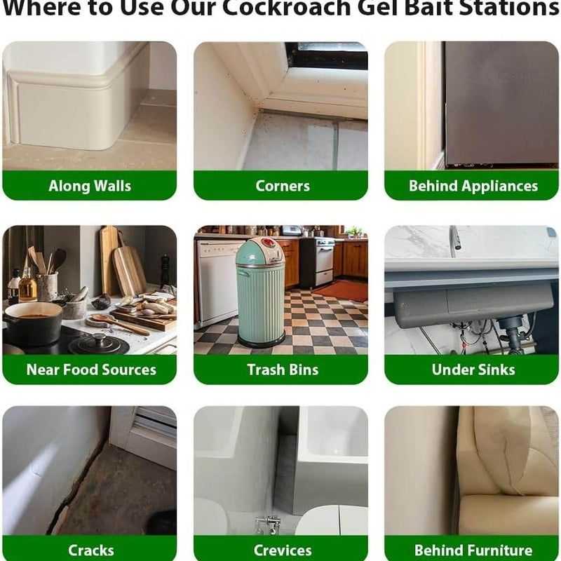 Cockroach Killer Gel | 🔥FLAT 50% OFF SAVING🔥