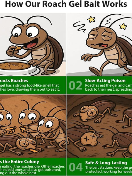 Cockroach Killer Powder Gel (Pack of 24pc)